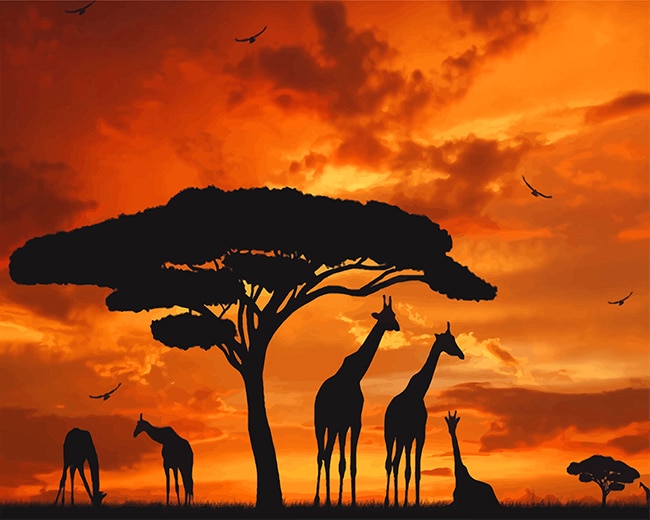 Giraffes Silhouette Sunset Paint by numbers