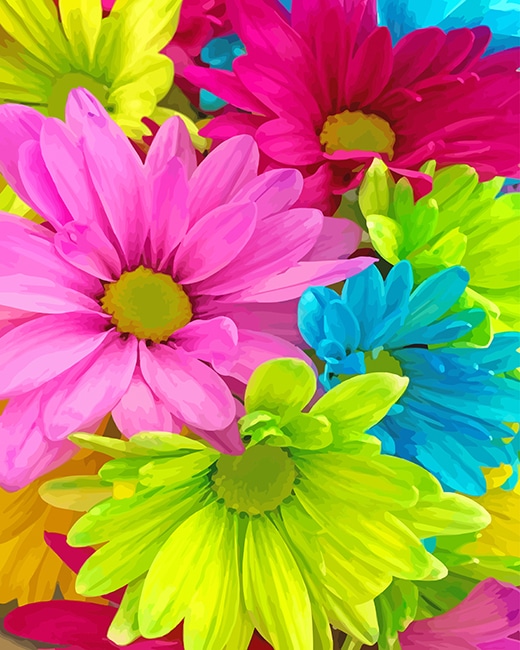 Colorful Flowers - Paint By Numbers - Num Paint Kit