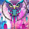 Colorful owl dream catcher adult paint by numbers