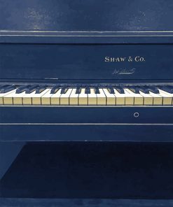 Piano Shaw and Co adult paint by numbers
