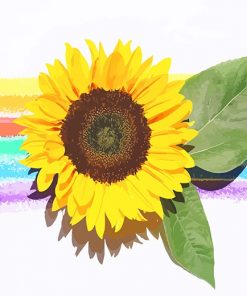 Rainbow sunflower adult paint by numbers