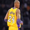 The Best Kobe Bryant adult pain by number