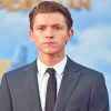 Tom Holland Spiderman adult paint by numbers