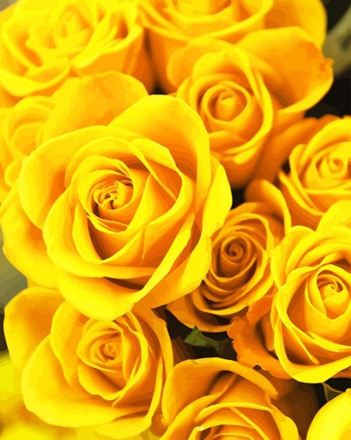 Yellow roses adult paint by number