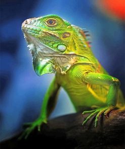 Beautiful Green Iguana adult paint by number
