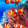 Colorful Clown-fish paint by number