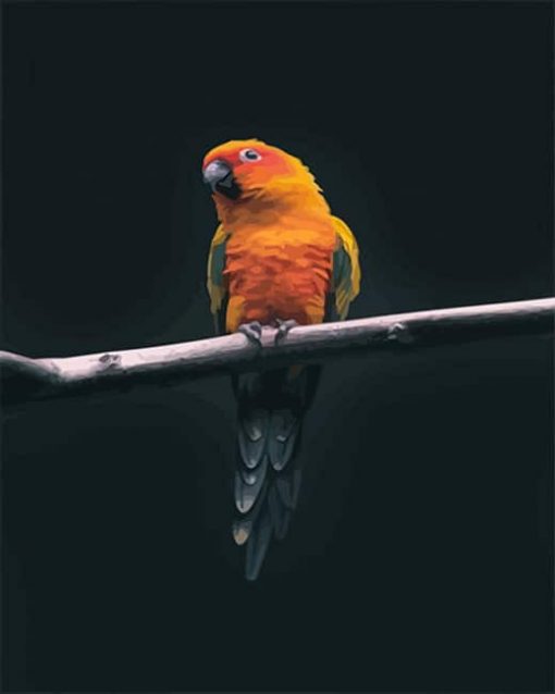 colorful parrot adult paint by number