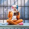 Harley Quinn Reading paint by number