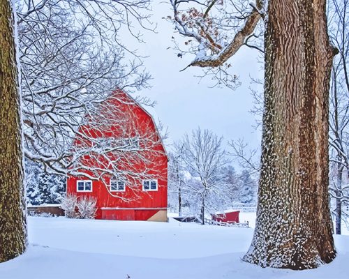 Red Barn Snow - Paint By Numbers - Num Paint Kit