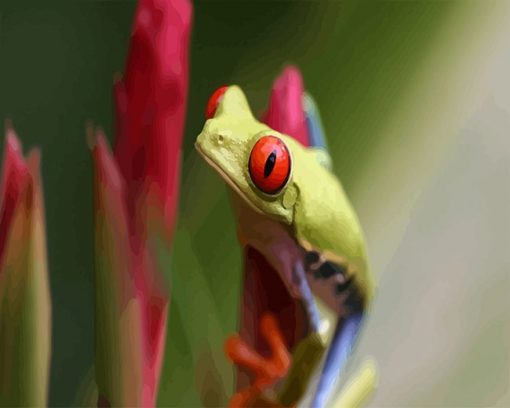 Red Eyes Frog paint by number