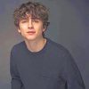 Timothee Chalamet Portrait Paint By Numbers