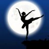 Ballerina silhouette adult paint by numbers