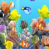 Colorful fishes deep sea adult paint by numbers