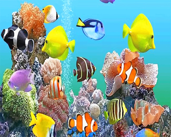 Colorful Fishes Deep Sea - Paint By Number - Num Paint Kit