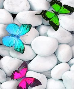 Cute Butterflies paint by numbers