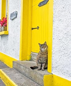 Cute kitty yellow door adult paint by numbers