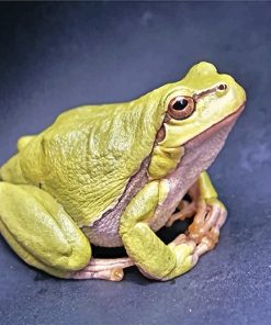Green Frog paint by number