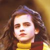 Hermione Granger Paint By numbers