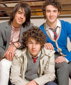 Jonas Brothers Camp Rock adult paint by numbers