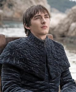 King Bran Game Of Thrones adult paint by numbers