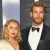 Liam hemsworth and miley cyrus couple paint by numbers