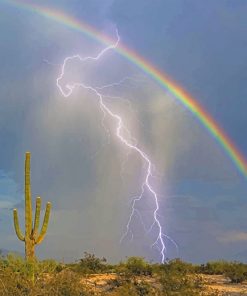 Lightning and rainbow adult paint by numbers