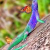 Lizard And Butterfly adult paint by numbers