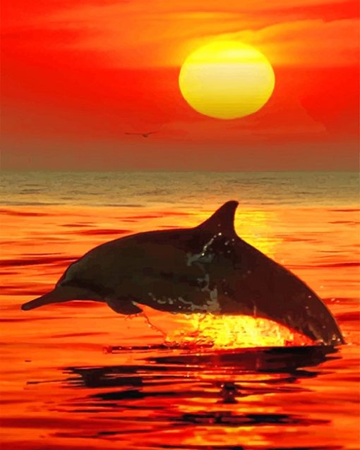 Lonely Dolphin Sunset adult paint by numbers