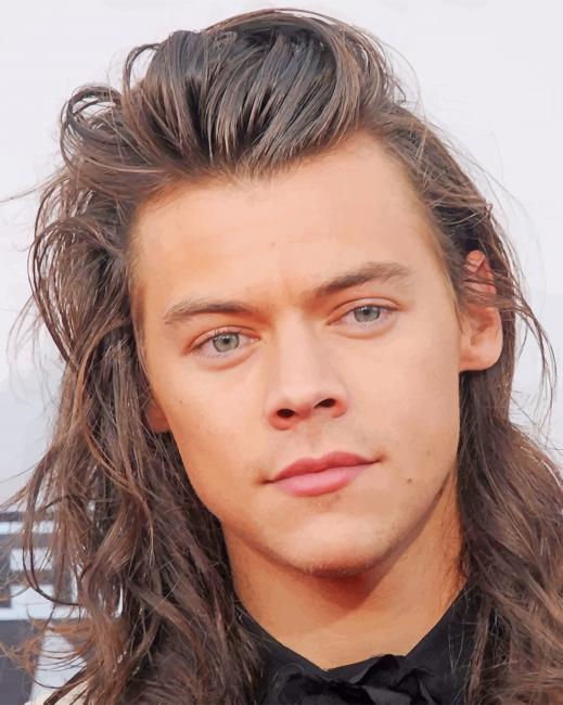 harry styles long hair