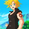 Meliodas x Reader adult paint by numbers