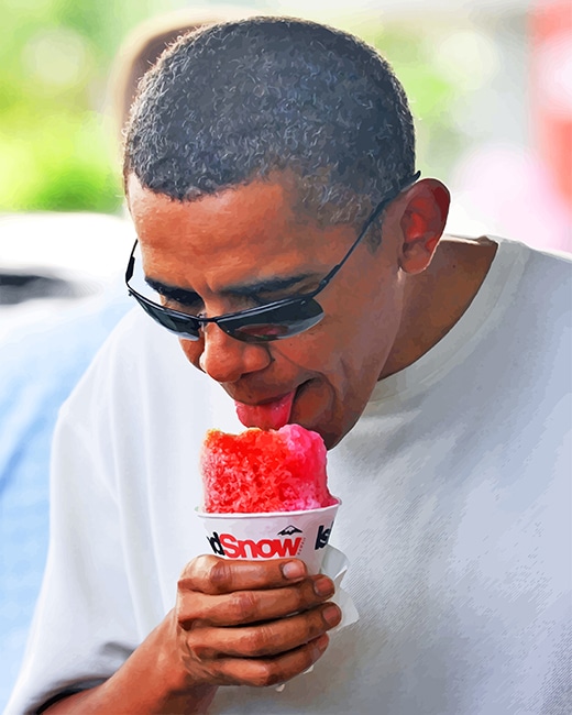 Obama eating ice cream adult paint by numbers