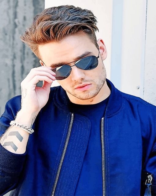 One Direction Liam Payne Singers Paint By Numbers