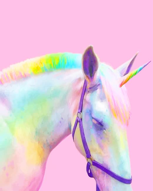 Rainbow Horse Unicorn - Animals Paint By Numbers - NumPaint - Paint by  numbers