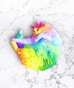 Rainbow Cat paint by number