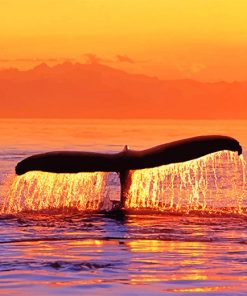 Sunset Whale Fluke paint by numbers