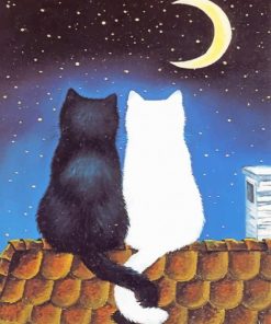 White And Black Cats Couple adult paint by numbers