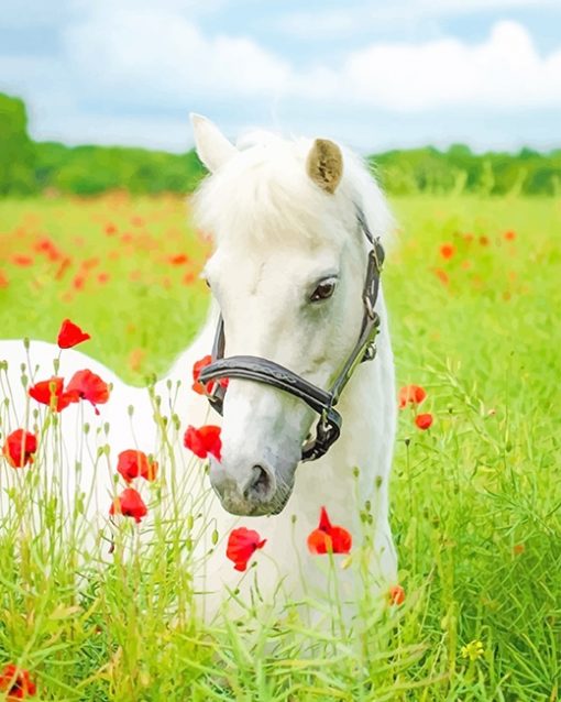 White Horse Flowers Field paint by number