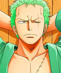Zoro One piece adult paint by numbers