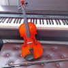 Aesthetic Violin With Piano paint by number