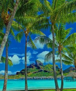 Amazing View in Bora Bora paint by numbers