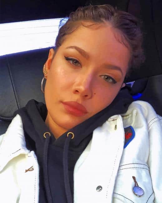 American Singer Halsey Paint By Numbers