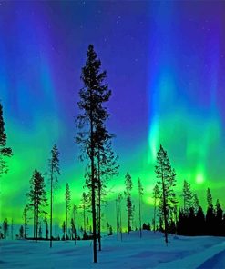 Arctic Aurora Landscape paint by number