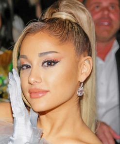 Beautiful Ariana Grande adult paint by numbers