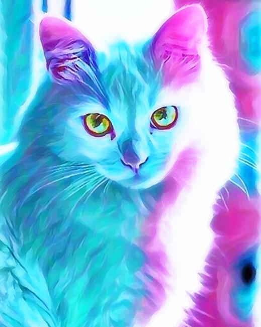beautiful-colorful-kitty-paint-by-number