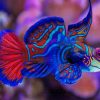 Beautiful Fish Paint By Numbers