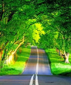 Beautiful Nature Road paint by numbers