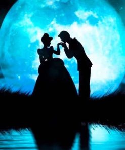 cinderella and prince charming moon adult paint by numbers