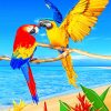 Colorful Parrots paint by number