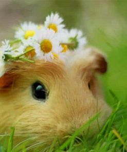 Cute Hamster With Flower Crown Paint By Numbers
