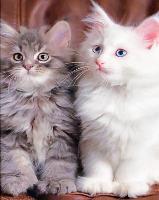 Cute Kitties Paint By Numbers